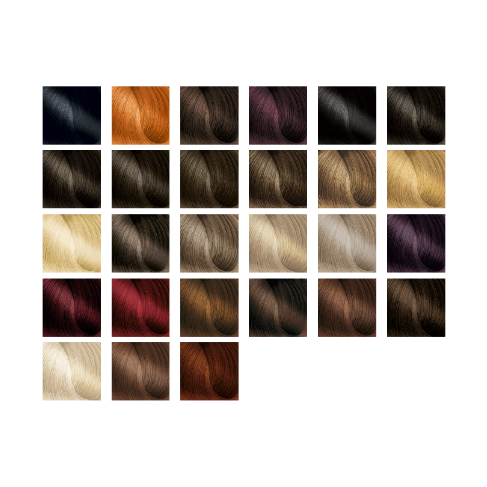 HD COLOR ΣΕΤ ΒΑΦΗΣ 60ML 3-ΚΑΣΤΑΝΟ ΣΚΟΥΡΟ
