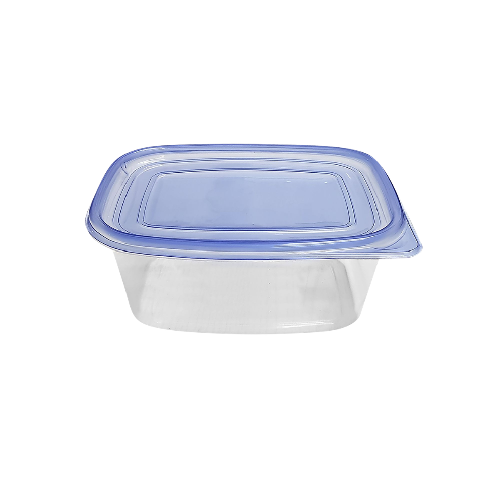 Δοχείο Τροφίμων Πλαστικό Μπλε 1,9l 22x16,5x9,5cm (81-687)