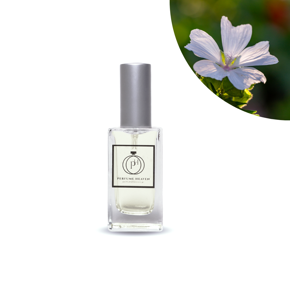 N4007 - Άρωμα White Musk